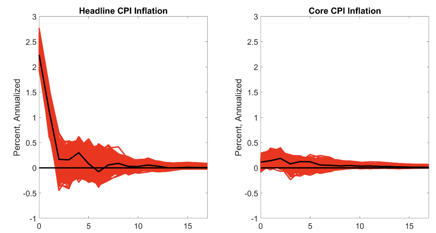 Figure 1 Responses of inflation to a one-time gasoline price shock