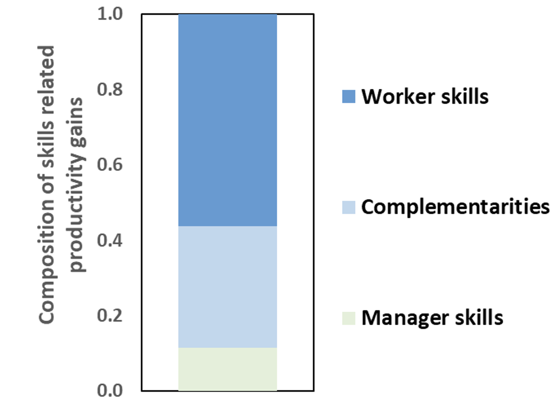 Uncovering the role of skills and diversity for firm productivity 6