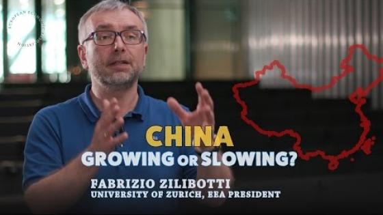 Growing and Slowing down like China