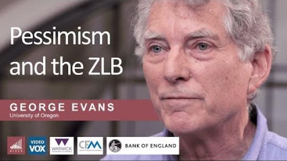 Pessimism and the ZLB