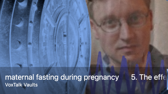 The effect of maternal fasting during pregnancy